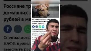 мурад сабаку даже кидает🤣🤣