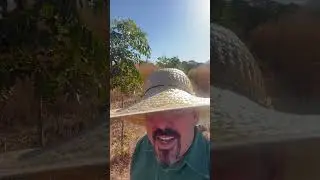 Aquela história que sempre escutamos mas nunca vimos…..