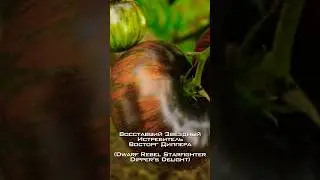 Этот томат привёл меня в восторг! Восставший Звёздный Истребитель Восторг Диппера