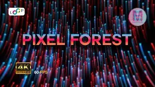 Pixel Forest | 4K High Quality Screensaver | Emotion Graphics | 2023