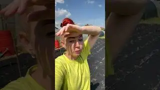 Пятый огород самый большой ,ещё не готов для посадки,сейчас там многолетние сорняки