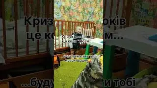 12 грудня 2023 р.