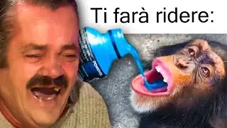 Ho Chiesto a 90.000 Persone di Fare un POWER POINT