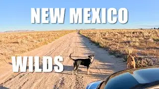 A day in the New Mexico Wilderness