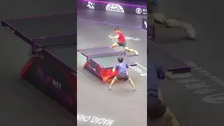 AROUND THE NET BY FAN ZHENDONG 