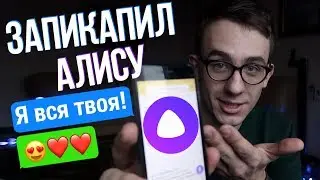 Запикапил АЛИСУ (Виртуальный Ассистент Яндекс)