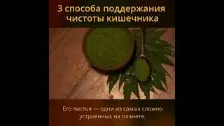Пройти комплексное очищение по программе Detox на нашем марафоне