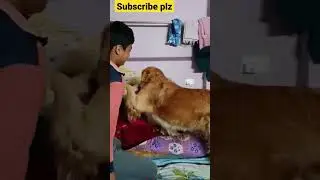 Rubber band fighting