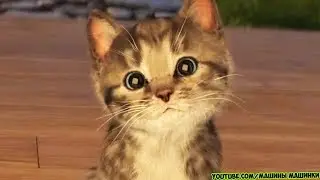 The ADVENTURE of a LITTLE KITTEN - cartoon for kids and toddlers Little Kitten cartoon kittens