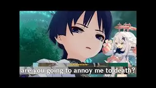 wanderer and paimon triggering each other for five minutes straight