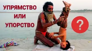 Упрямство или упорство