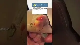 Анекдот про русского узбека и армянина