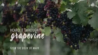 Heard it Through the Grapevine - June 11, 2023