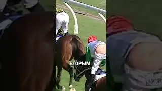 Жокей потерял штаны во время скачек