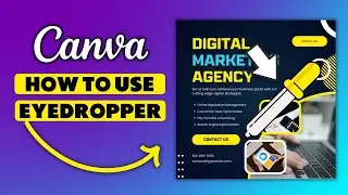How to Use Eyedropper in Canva
