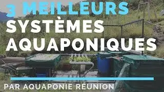 Les 3 meilleurs Systèmes Aquaponiques selon la FAO - Par Aquaponie Réunion