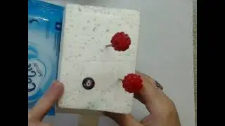 Мк резинки малина из силикона