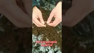 Есть ещё монеты на выбитых местах! Коп монет с металлоискателем 2024