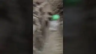Ее бой изивините ребят что не было видер теперь они будут снова выходить