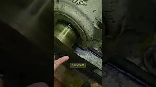 Alice The Generator 