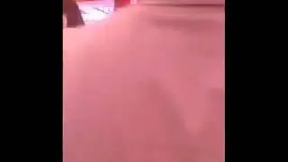 Как фанати болели за Хабиба Нурмагамедова
