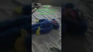 моё вороброжения и реальность хагги ваги