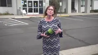 WM - Recycling Ambassador April LaBrie
