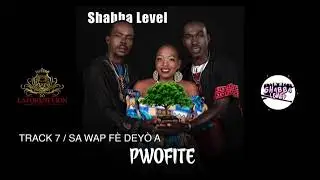 Shabba level album pwofite 2024