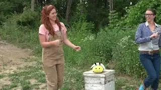 Honey Bees for Kids - Educational