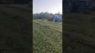 сенокос....