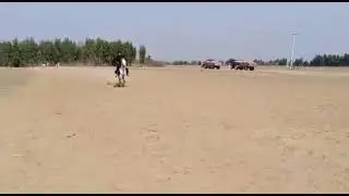 Shah sab riding