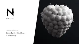 Procedurally Modeling A Raspberry