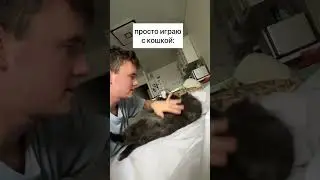 что видит кошка, когда я с ней играю
