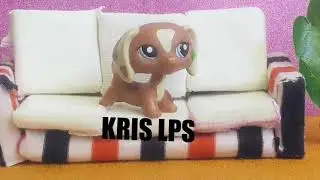 LPS:💥Посылка💥Новые петы🐾и не  только👕