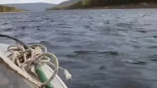 На лодке по р. Алдан (Томмот - Угино)