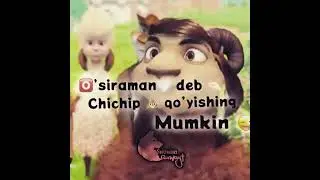 50.Bo’rilar va Qo’ylar jangi #50 : 𝚇𝚊𝚢𝚘𝚝da hech kimga ishonma 😜