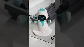 Comprei um robô pra me fazer companhia!