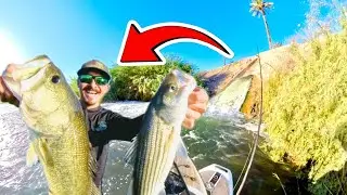 Fishing HIDDEN Shallow SPILLWAY for HUGE Fish
