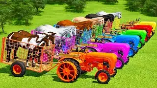 TRANSPORTING HORSES & SUGAR BEET WITH VOLVO MINI TRACTORS & CASE TRACTORS - FS22