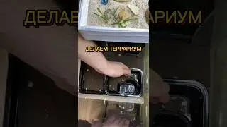ДЕЛАЕМ ТЕРРАРИУМ! 🏜️🥹 