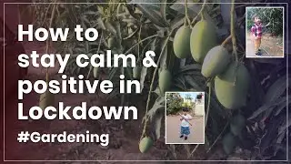 Organic Farming in backyard | farmers choice