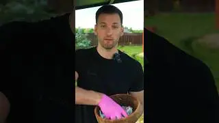 Шашлык из карпа 