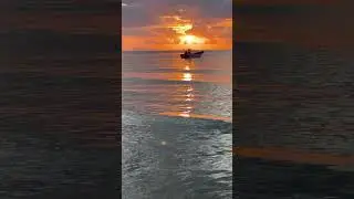 Я любуюсь тобой. В. Понкин.