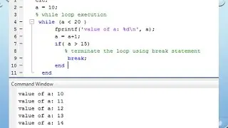 MATLAB Lecture 4 - Loops in matlab