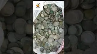 1,5 тонны медных монет в соборе Рождества Богородицы