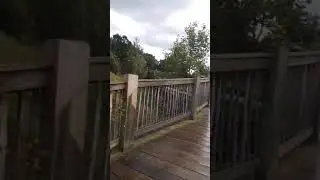 кума и сафари парк