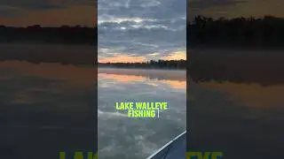 Lake Walleye Fishing TIPS And TRICKS!! 🎣 