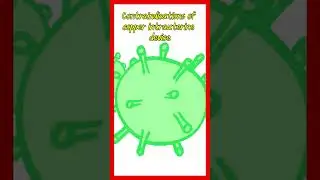 contraindication of the copper intrauterine device #shorts #mirena #contraception
