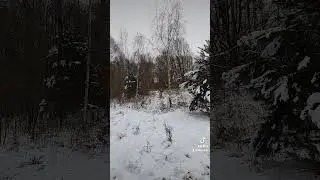 Агроусадьба 