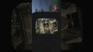 Голова в окне и отьезд в схрон! 